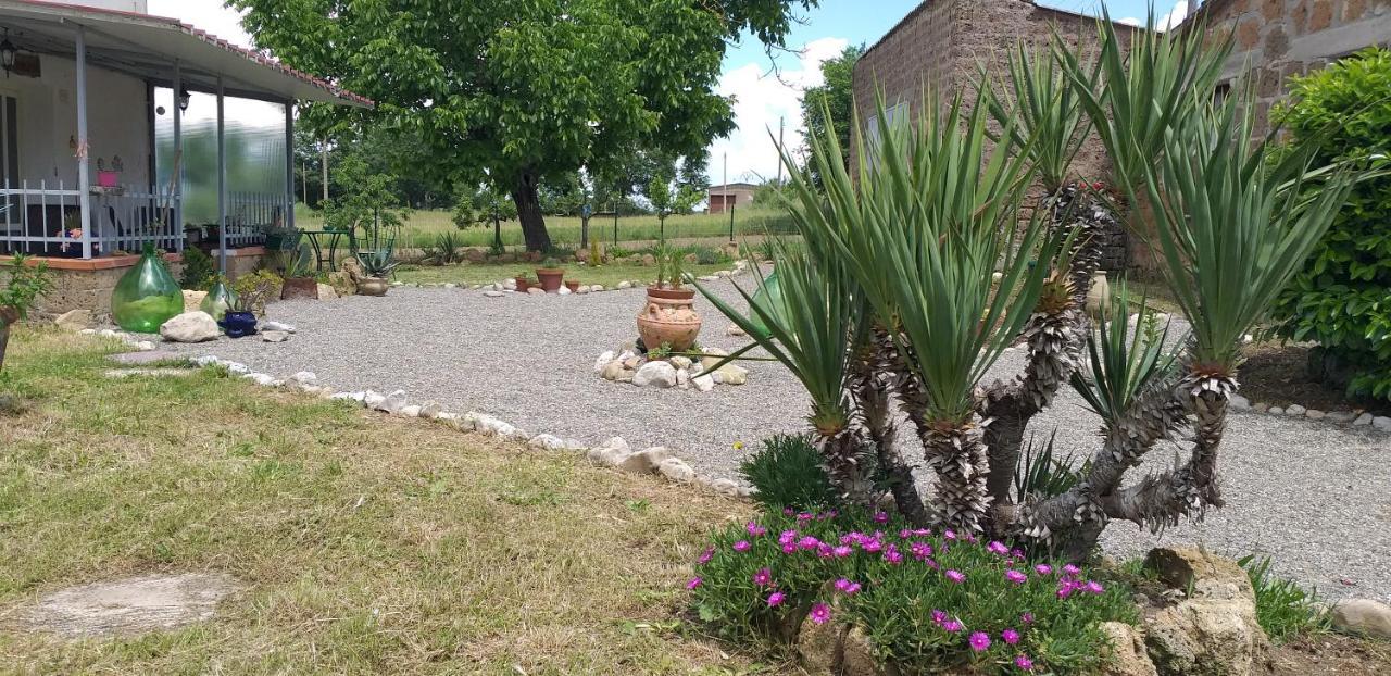 La Cascina Della Grotta Di Tufo Bed and Breakfast San Valentino  Eksteriør billede